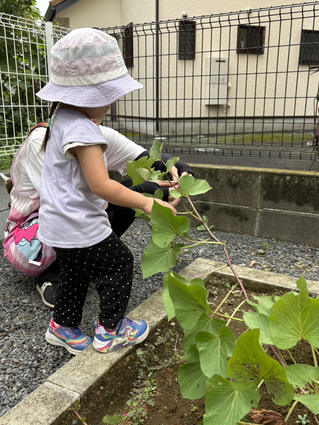 つる返しの様子
